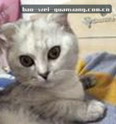 吴刚