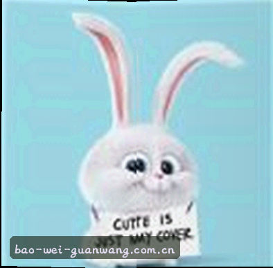王磊
